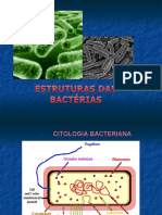 Estruturas bacterianas