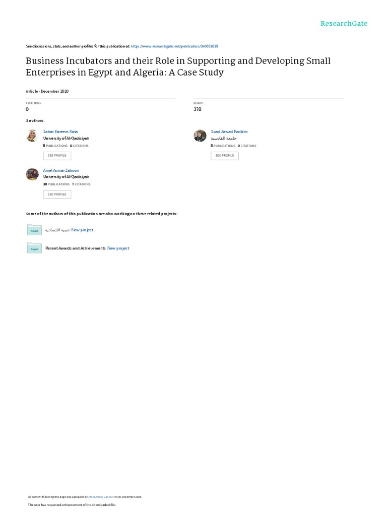 Business Incubators And Their Role In Supporting And Developing Small