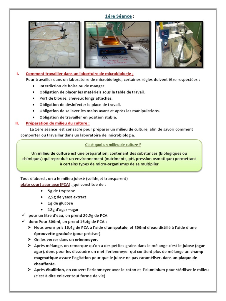 Compte Rendu TP Microbiologie : Milieu Culture | PDF | Stérilisation ...