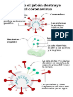 Como El Jabon Destruye El Coronavirus