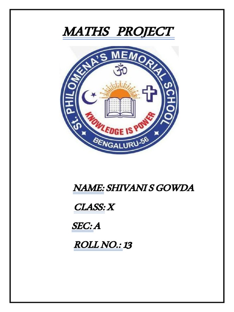 Maths Project | PDF | Budget | Transaction Account