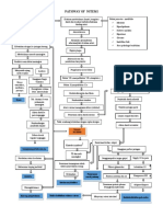 Pathway Nstemia