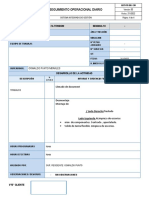 REPORTE DIARIO - INFORME DE AVANCE DEL DIA 25-11 - Turno Dia1