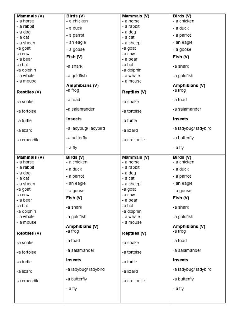 Animals | PDF | Reptile | Amphibian