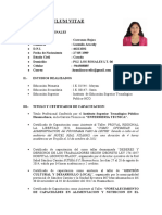 Lusmila Carranza Curruculum Actualizado