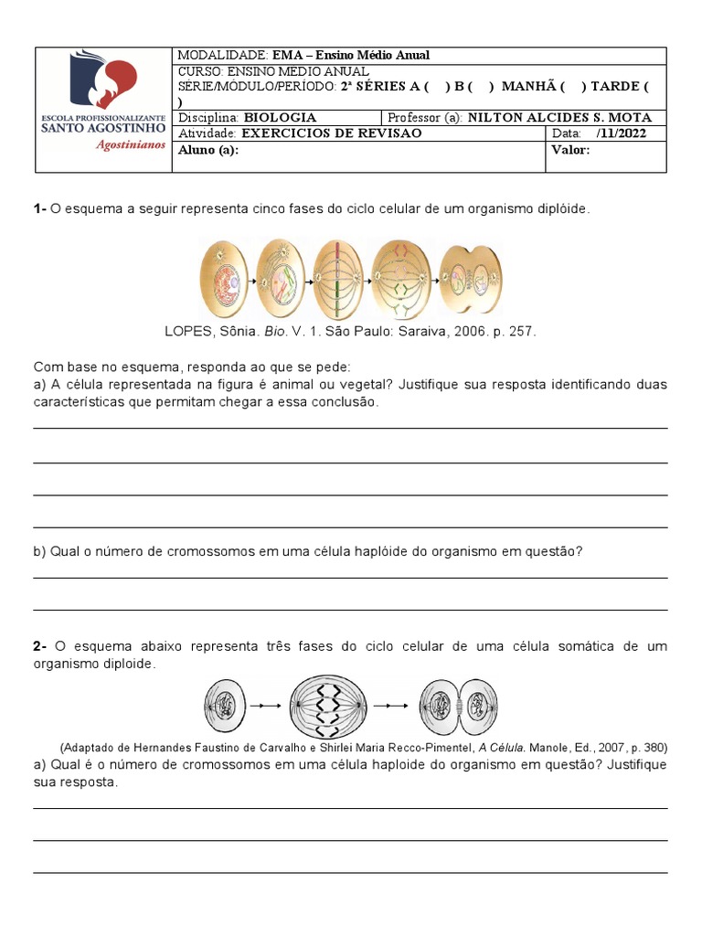 Atividades sobre Mitose e Meiose 9º Ano | PDF | Meiose | Mitose