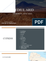 Desertul Atacama - Baldean Bogdan