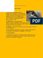 Animal Que Se Extinguieron en Los Últimos 10 Años