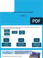 p3 - Pruebas para Nucleos de Arenas v2