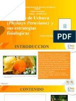 Presentacion - Fisiologia de Cultivos