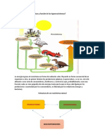 Agricultura Biologica