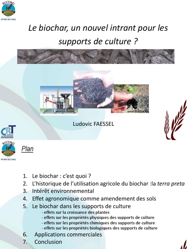 1 Biochar LF Light | PDF | Pyrolyse | Substances chimiques