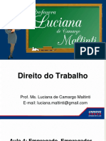 Aula 04 - Empregado. Empregador. Relação de Emprego X Relação de Trabalho