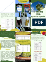 Folleto Sobre La Tuna - Trabajo de Investigaciónformativa