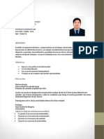 CV Castro Puemape