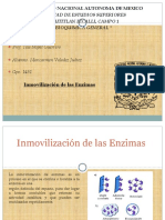 Inmovilización de Las Enzimas