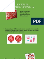 Anemia Ferropenica PDF