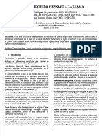 PDF Informe Uso Del Mechero y Ensayo A La Llama Compress