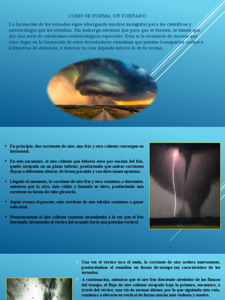 power-orley-participacion-estudiantil-pdf