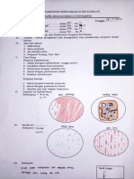 Praktikum Sel Hewan12 - 17 - 23 - 30