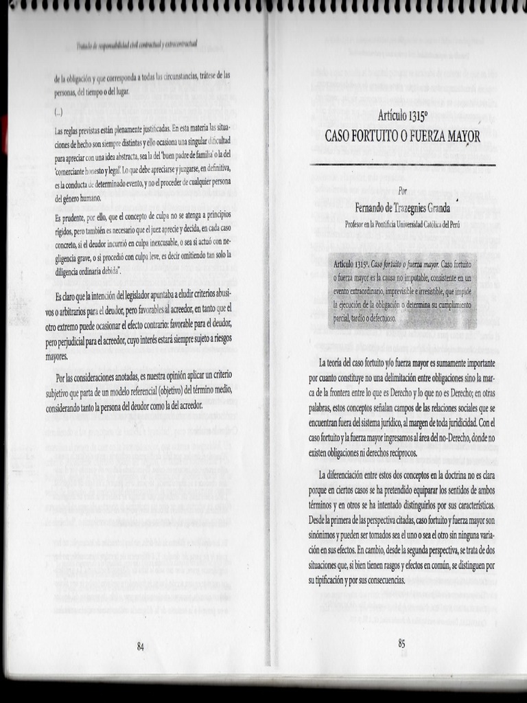 Caso Fortuito o Fuerza Mayor - TRAZEGNIES | PDF