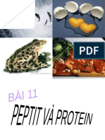 Bai 11 Peptit và protein - 1 tiết-Nhóm Hóa Tân Phú