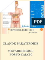 Sist. Endocrin Paratiroide, Pancreas, Suprarenale, Gonade MD I 2020-2021