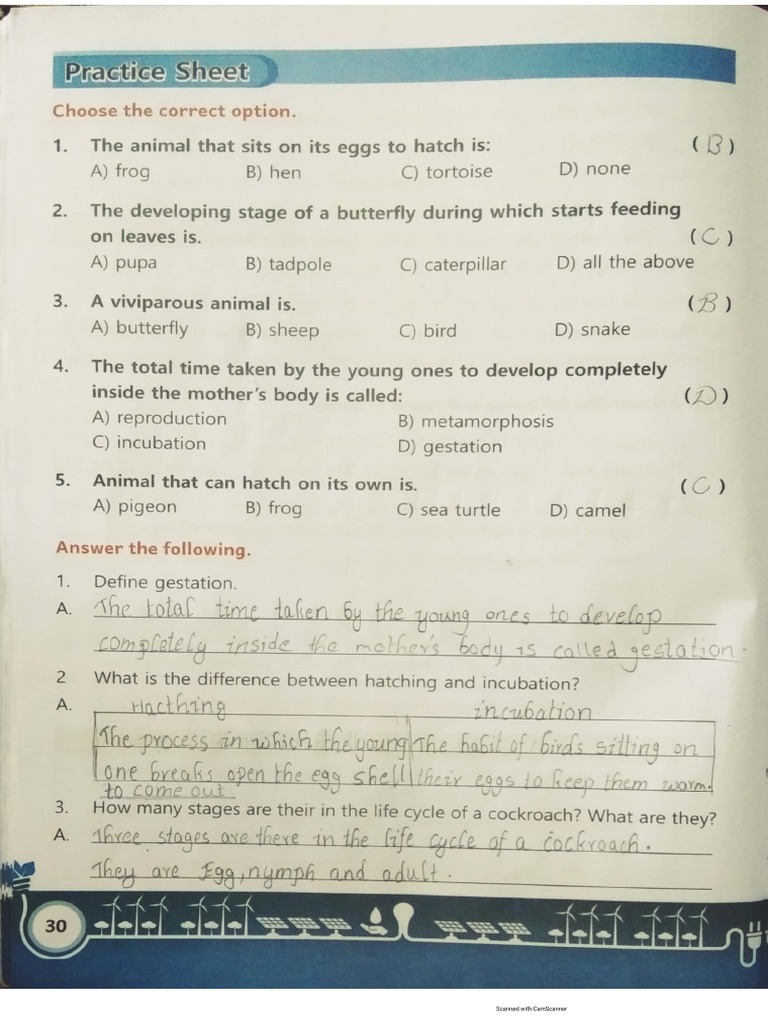 Vyshavi Science Primer Lesson 3 PDF