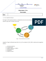 Ecossistemas e ciclos de matéria