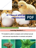 4.1sexual and Asexual