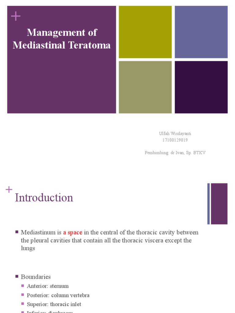Referat Management Teratoma Mediastinum | PDF | Thymus | Medical Imaging