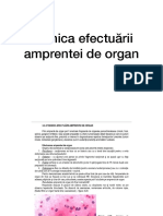 LP3 PDF