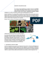 TEMA1 Biocel