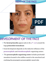 Dev't of Face