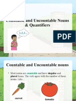 Countable and Uncountable Nouns & Quantifiers