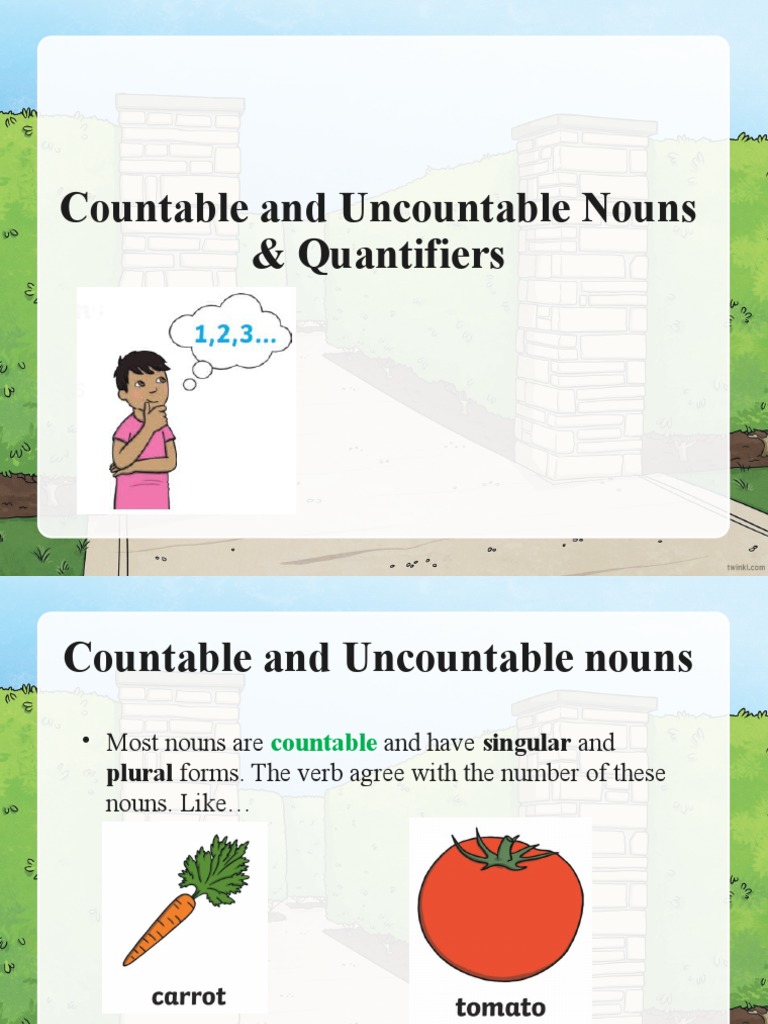 Countable and Uncountable Nouns & Quantifiers PDF Noun