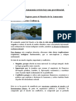 7 Claves Victor CodinaEl Sínodo de La Amazonía Reviste Hoy Una Providencial Actualidad