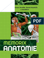 Memorix Anatomie 4 Ukázka