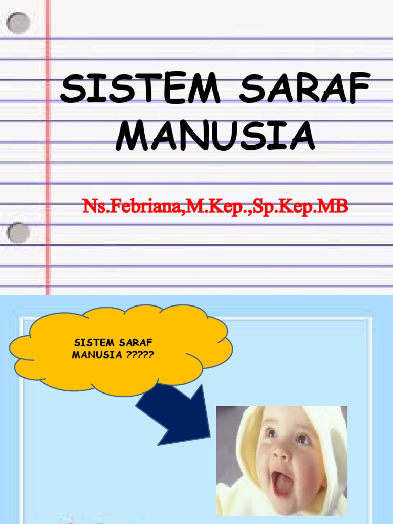 2.anatomi Fisiologi - Sistem - Saraf - Manusia | PDF