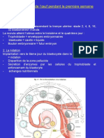 Développement de L'œuf PDF