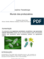 Mundo Dos Protozoarios