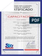 Certificado de Capacitación - Sky 2020