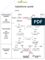 Métabolisme protéines fiche pdf