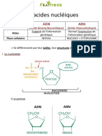 Fiche ADN PDF