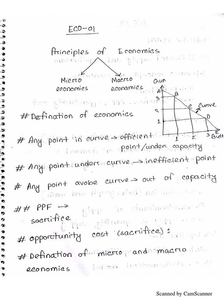 Eco - 1 2 | PDF