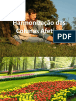 Harmonização Das Colunas Afetivas