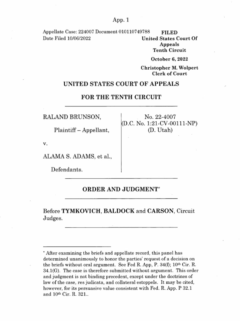 Brunson V Adams PDF Standing (Law) Fourteenth Amendment To The