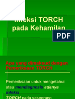 Infeksi TORCH Pada Kehamilan