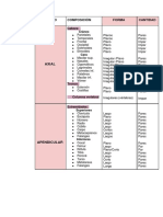 Clasificación de Huesos