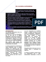 PDF Morfo Fisiologia de Las Suprarrenales